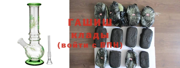 дурь Инта