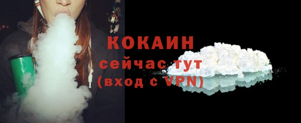 дурь Инта