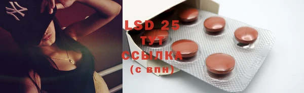 дурь Инта