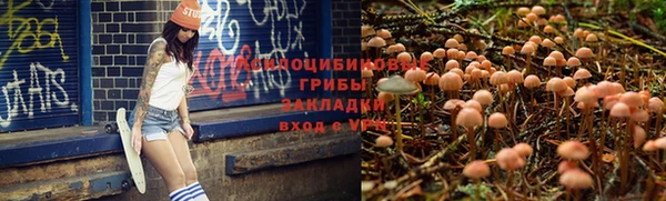 прущие крисы Инсар