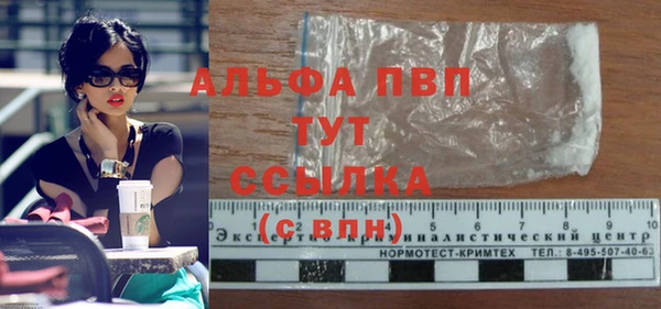 прущие крисы Инсар