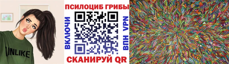 Галлюциногенные грибы GOLDEN TEACHER  купить наркоту  Чадан 